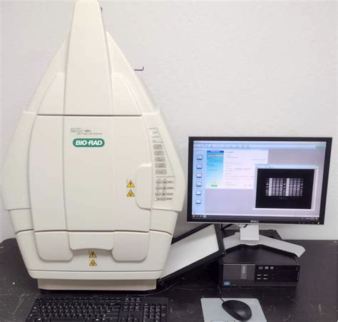 bio rad korea.